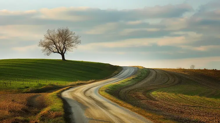 A winding country road cuts diagonally across the frame from the bottom left corner, leading the eye to a solitary tree positioned at the top right intersection point of the Rule of Thirds grid. The road acts as a strong leading line, while the placement of the tree creates a balanced, visually appealing composition. --ar 16:9