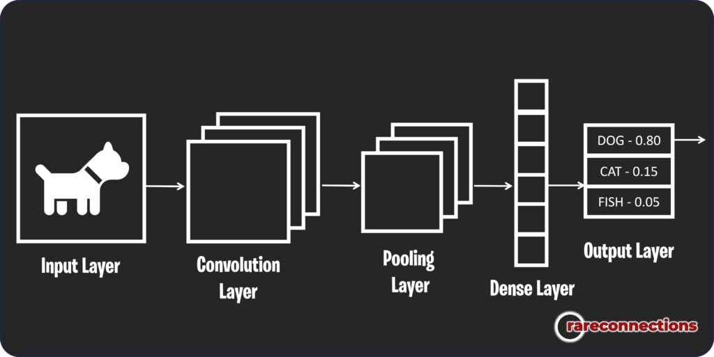 Convolutional Neural Network (CNN) showing input layer, convolution layers, pooling layers, dense layer, and an output layer with probabilities