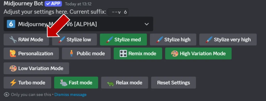 Enabling raw mode in the Midjourney Discord.