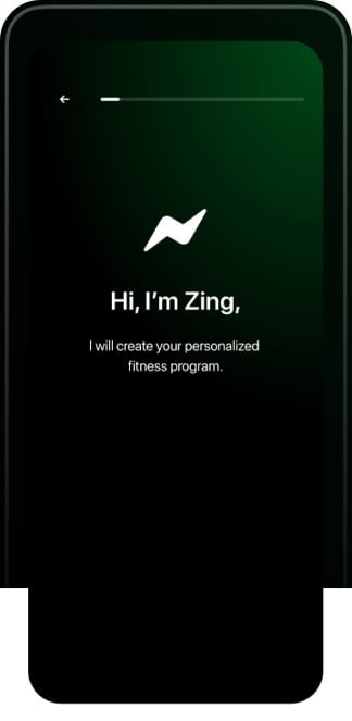 Zing mobile GUI showing Zing homescreen