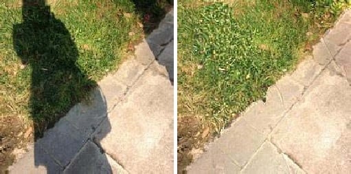 shadow removal example